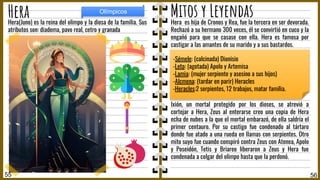 Hera es hija de Cronos y Rea, fue la tercera en ser devorada.
Rechazó a su hermano 300 veces, él se convirtió en cuco y la
engañó para que se casase con ella. Hera es famosa por
castigar a las amantes de su marido y a sus bastardos.
Ixión, un mortal protegido por los dioses, se atrevió a
cortejar a Hera, Zeus al enterarse creo una copia de Hera
echa de nubes a la que el mortal embarazó, de ella saldría el
primer centauro. Por su castigo fue condenado al tártaro
donde fue atado a una rueda en llamas con serpientes. Otro
mito suyo fue cuando conspiró contra Zeus con Atenea, Apolo
y Poseidón, Tetis y Briareo liberaron a Zeus y Hera fue
condenada a colgar del olimpo hasta que la perdonó.
Hera(Juno) es la reina del olimpo y la diosa de la familia. Sus
atributos son: diadema, pavo real, cetro y granada
56
Hera
55
Olímpicos
Mitos y Leyendas
-Sémele: (calcinada) Dionisio
-Leto: (agotada) Apolo y Artemisa
-Lamia: (mujer serpiente y asesino a sus hijos)
-Alcmena: (tardar en parir) Heracles
-Heracles:2 serpientes, 12 trabajos, matar familia.
 