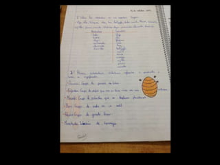 Libreta interactiva 2