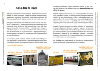 12 13
Cosa dice la legge
Deturpare e imbrattare non sono sinonimi. Il primo termine significa
rendere più brutto, peggiorare l’aspetto di qualcosa; il secondo signi-
fica sporcare, insudiciare. Entrambe le condotte sono sanzionate dal
Codice penale all’articolo 639, che punisce chi se ne rende colpevole.
Deturpare e imbrattare le cose mobili altrui, come un cesto della spaz-
zatura o una struttura d’appoggio provvisoria, può costare caro: fino a
102 euro di multa. Ma farlo su beni immobili, come i muri delle case,
oppure sui mezzi di trasporto pubblici e privati, è ancora più grave:
la multa va da 300 a 1.000 euro o la condanna può arrivare fino a sei
mesi di carcere. Farlo su un palazzo storico o di pregio artistico poi,
significa esporsi a una multa da 1.000 a 3.000 euro e rischiare fino a
un anno di reclusione.
Una condanna penale non è uno scherzo: in molti casi marchia per la
vita, impedendo la partecipazione ai concorsi pubblici e complicando
l’ottenimento di certe autorizzazioni. Se poi si è recidivi, cioè se dopo
una prima condanna si torna a commettere il reato, la pena sale a
due anni di carcere e la multa a 10.000 euro. La punibilità scatta
all’età di 14 anni.
La Corte suprema di cassazione, cioè l’organo giuridico più elevato
della Repubblica italiana, ha definito condotta criminosa quella che
modifica un bene, diminuendone il valore o impedendone anche par-
zialmente l’uso. Ha inoltre stabilito essere reato anche quegli atti che
alterano temporaneamente e superficialmente la cosa, il cui aspetto
originario potrà essere ripristinato con un intervento a volte costoso.
Quando s’imbratta un muro, un mezzo pubblico, un monumento,
scatta un’indagine di polizia, che comporta il sequestro del materiale
usato (bombolette spray) e si avvale di fotografie delle cose imbrattate
per risalire ai colpevoli. Quando vengono individuati, non di rado vie-
ne disposto il sequestro dei loro smatphone, computer e fotocamere
(sequestro informatico), che verranno analizzati per trovare, attraver-
so i social, le prove del reato commesso.
Nel 2006 a Milano la polizia locale ha dato vita a un Nucleo antigraf-
fiti che ha compiti di vigilanza preventiva e d’indagine.
EndtoendDipingereunvagoneferroviarioodellametropolitanapertuttalalunghezza,maaldisotto
dellalineadeifinestrini
EtchingTecnicacheprevedelacorrosionedeivetritramitel’usodimarkerimbevutidiacidofluoridrico.È
unapraticapericolosaperchésiattuautilizzandosostanzenocive
da 300 a 1.000 euro
o 6 mesi di reclusione
da 1.000 a 3.000 euro
e 6 mesi di reclusione
da 300 a 1.000 euro
o 6 mesi di reclusione
da 300 a 1.000 euro
o 6 mesi di reclusione
102 euro
da 300 a 1.000 euro
o 6 mesi di reclusione
Le multe e le sanzioni
 