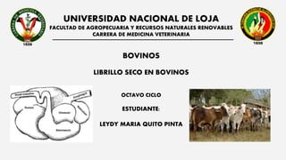 UNIVERSIDAD NACIONAL DE LOJA
FACULTAD DE AGROPECUARIA Y RECURSOS NATURALES RENOVABLES
CARRERA DE MEDICINA VETERINARIA
BOVINOS
LIBRILLO SECO EN BOVINOS
OCTAVO CICLO
ESTUDIANTE:
LEYDY MARIA QUITO PINTA
 