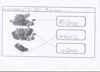 Libriño 5º infantil: Os alimentos