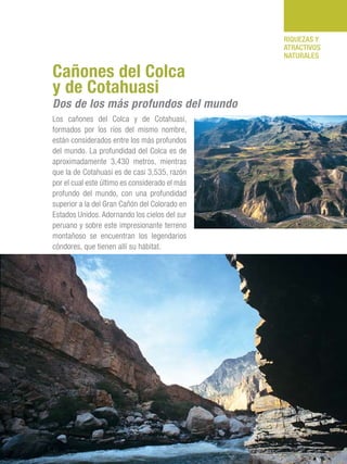 101 Razones para estar orgullosos del Perú 97
RIQUEZAS Y
ATRACTIVOS
NATURALES
Los cañones del Colca y de Cotahuasi,
formados por los ríos del mismo nombre,
están considerados entre los más profundos
del mundo. La profundidad del Colca es de
aproximadamente 3,430 metros, mientras
que la de Cotahuasi es de casi 3,535, razón
por el cual este último es considerado el más
profundo del mundo, con una profundidad
superior a la del Gran Cañón del Colorado en
Estados Unidos. Adornando los cielos del sur
peruano y sobre este impresionante terreno
montañoso se encuentran los legendarios
cóndores, que tienen allí su hábitat.
Cañones del Colca
y de Cotahuasi
Dos de los más profundos del mundo
 