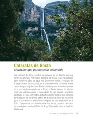 101 Razones para estar orgullosos del Perú 99
RIQUEZAS Y
ATRACTIVOS
NATURALES
Las cataratas de Gocta, nombre que proviene de un dialecto quechua,
tienen una altura de 771 metros de altura, por lo que se las ha calificado
como la tercera caída de agua más grande del mundo. Se localiza en
el departamento de Amazonas, en el oriente del Perú. Se divide en dos
caídas de agua muy verticales. Están rodeadas por un maravilloso paisaje
en el que conviven especies de la flora y la fauna, algunas de ellas en
peligro de extinción como el mono choro de cola amarilla, orquídeas,
gallitos de la rocas, entre otros. Esta atracción turística ha sido conocida
por siglos por los residentes locales de la provincia donde se encuentra,
pero su existencia se hizo pública después de una expedición en el
2005. Comparte reconocimiento en la lista de las cataratas más altas
del mundo junto con la del Salto del Ángel (Venezuela) y las de Tugelfalls
(Sudáfrica).
Cataratas de Gocta
Maravilla que permanecía escondida
 