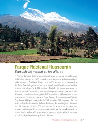 101 Razones para estar orgullosos del Perú 107
RIQUEZAS Y
ATRACTIVOS
NATURALES
El Parque Nacional Huascarán –reconocido por la Unesco como Reserva
de Biósfera y luego, en 1985, como Patrimonio Natural de la Humanidad–
se localiza en la Cordillera Blanca de la región Ancash, en la zona central
del Perú. En este lugar se encuentra el nevado que lleva el mismo nombre
y tiene una altura de 6,768 metros. También se puede encontrar el
atractivo nevado Pastoruri, el cual, sin embargo, es afectado por acción del
deshielo y el calentamiento global. El Parque Nacional Huascarán posee
una enorme riqueza en cuanto a flora, fauna y formaciones geológicas.
Cuenta con 663 glaciares, más de 200 nevados, 296 lagunas y 44 ríos
importantes distribuidos en todo su territorio. Se tiene registro de cerca
de 131 especies de aves, 850 especies de flora, variedad de orquídeas
y flores medicinales. Este parque es el hábitat de la Puya Raimondi, el
puma, el gato andino, el zorro andino, el jaguar, la vicuña, el tapir peruano,
el colibrí colipinto peruano y el pato castaño.
Parque Nacional Huascarán
Espectáculo natural en las alturas
 