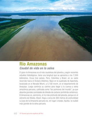 101 Razones para estar orgullosos del Perú112
RIQUEZAS Y
ATRACTIVOS
NATURALES
El gran río Amazonas es el más caudaloso del planeta y, según recientes
estudios hidrológicos, tiene una longitud que se aproxima a los 7,000
kilómetros. Cruza tres países, Perú, Colombia y Brasil, en su vasto
recorrido hacia el Océano Atlántico. Nace en la quebrada de Apacheta,
localizada en el Nevado Mismi, a 5,150 msnm, en el departamento de
Arequipa. Luego continúa su camino para llegar a la cuenca y selva
amazónica peruana, calificada como “los pulmones del mundo”, ya que
absorbe grandes cantidades de dióxido de carbono (anhídrido carbónico).
El Amazonas es, asimismo, el río más profundo del planeta, porque en el
estrecho de Obidos, Brasil, llega a cerca de 300 metros de profundidad
La joya de la Amazonía peruana es, sin lugar a dudas, Iquitos, la ciudad
más grande de la selva peruana.
Río Amazonas
Caudal de vida en la selva
 