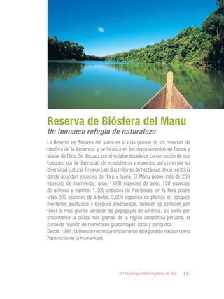 101 Razones para estar orgullosos del Perú 113
RIQUEZAS Y
ATRACTIVOS
NATURALES
La Reserva de Biósfera del Manu es la más grande de las reservas de
biósfera de la Amazonía y se localiza en los departamentos de Cusco y
Madre de Dios. Se destaca por el notable estado de conservación de sus
bosques, por la diversidad de ecosistemas y especies, así como por su
diversidad cultural. Protege casi dos millones de hectáreas de un territorio
donde abundan especies de flora y fauna. El Manu posee más de 200
especies de mamíferos, unas 1,000 especies de aves, 150 especies
de anfibios y reptiles, 1,000 especies de mariposas; en la flora posee
unas 300 especies de árboles, 3,000 especies de plantas en bosques
montanos, pastizales y bosques amazónicos. También es conocido por
tener la más grande variedad de papagayos de América, así como por
encontrarse la collpa más grande de la región amazónica peruana, el
punto de reunión de numerosos guacamayos, loros y periquitos.
Desde 1987, la Unesco reconoce oficialmente este paraíso natural como
Patrimonio de la Humanidad.
Reserva de Biósfera del Manu
Un inmenso refugio de naturaleza
 
