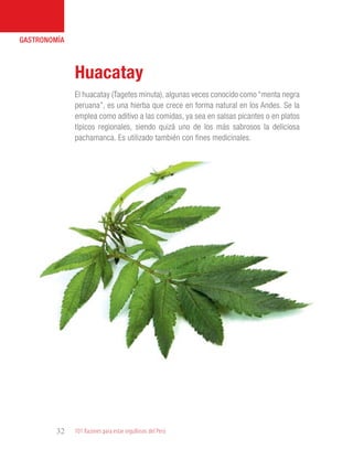 101 Razones para estar orgullosos del Perú32
GASTRONOMÍA
El huacatay (Tagetes minuta), algunas veces conocido como “menta negra
peruana”, es una hierba que crece en forma natural en los Andes. Se la
emplea como aditivo a las comidas, ya sea en salsas picantes o en platos
típicos regionales, siendo quizá uno de los más sabrosos la deliciosa
pachamanca. Es utilizado también con fines medicinales.
Huacatay
 