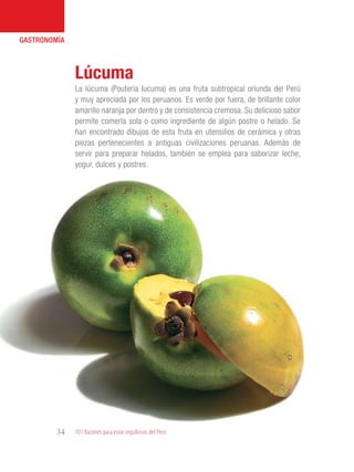 101 Razones para estar orgullosos del Perú34
GASTRONOMÍA
La lúcuma (Pouteria lucuma) es una fruta subtropical oriunda del Perú
y muy apreciada por los peruanos. Es verde por fuera, de brillante color
amarillo naranja por dentro y de consistencia cremosa. Su delicioso sabor
permite comerla sola o como ingrediente de algún postre o helado. Se
han encontrado dibujos de esta fruta en utensilios de cerámica y otras
piezas pertenecientes a antiguas civilizaciones peruanas. Además de
servir para preparar helados, también se emplea para saborizar leche,
yogur, dulces y postres.
Lúcuma
 