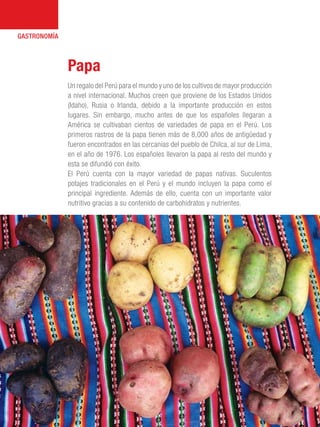 101 Razones para estar orgullosos del Perú36
GASTRONOMÍA
Un regalo del Perú para el mundo y uno de los cultivos de mayor producción
a nivel internacional. Muchos creen que proviene de los Estados Unidos
(Idaho), Rusia o Irlanda, debido a la importante producción en estos
lugares. Sin embargo, mucho antes de que los españoles llegaran a
América se cultivaban cientos de variedades de papa en el Perú. Los
primeros rastros de la papa tienen más de 8,000 años de antigüedad y
fueron encontrados en las cercanías del pueblo de Chilca, al sur de Lima,
en el año de 1976. Los españoles llevaron la papa al resto del mundo y
esta se difundió con éxito.
El Perú cuenta con la mayor variedad de papas nativas. Suculentos
potajes tradicionales en el Perú y el mundo incluyen la papa como el
principal ingrediente. Además de ello, cuenta con un importante valor
nutritivo gracias a su contenido de carbohidratos y nutrientes.
Papa
 