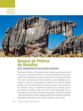 101 Razones para estar orgullosos del Perú96
RIQUEZAS Y
ATRACTIVOS
NATURALES
El Bosque de Piedras de Huayllay ha sido calificado recientemente como
una de las 7 maravillas del Perú en un concurso organizado por un diario
limeño. Está localizado en la provincia de Pasco, en la sierra central del
Perú, tiene un extensión de 6,815 hectáreas y una antigüedad que se
remonta a inicios de la Era Cenozoica o terciaria, hace casi 70 millones
de años. La erosión ocasionada por el viento, el agua y otras condiciones
ha generado curiosas formaciones escultóricas que semejan figuras
de hombres y animales, entre otros. En el medio del bosque hay un
encantador manantial con supuestas propiedades curativas. El llamado
“Jardín de Rocas de los Andes” alberga también flora silvestre con diversas
propiedades medicinales y fauna, como mamíferos, aves y peces.
Bosque de Piedras
de Huayllay
Una impactante formación natural
 
