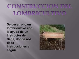 Se desarrollo un
lombricultivo con
la ayuda de un
instructor del
Sena, donde nos
daba
instrucciones a
seguir

 
