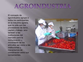El concepto de
agroindustria agrupa a
todos los participantes
en la industria agraria,
que no sólo son los
proveedores de tierra ,
capital y trabajo, sino
también a las
instituciones del
mercado para la
comunicación y
movimiento de los
artículos, así como a las
instituciones y
mecanismos de
coordinación entre sus
componentes.

 