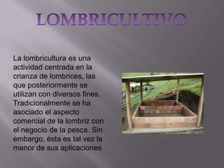 La lombricultura es una
actividad centrada en la
crianza de lombrices, las
que posteriormente se
utilizan con diversos fines.
Tradicionalmente se ha
asociado el aspecto
comercial de la lombriz con
el negocio de la pesca. Sin
embargo, ésta es tal vez la
menor de sus aplicaciones

 