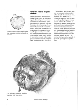 Dibujo para principiantes