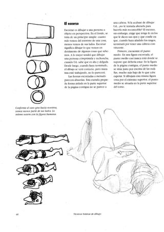 Dibujo para principiantes