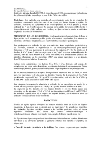 11
INMUNOLOGÍA
Dr. Segundo Francisco García Ledesma
Existe otra integrina llamada PECAM-1, conocida como CD31, se encuentra en los bordes de
las células endoteliales y contribuye al paso de los PMN a los tejidos.
Caderinas.- Son moléculas que controlan el comportamiento social de las célulasfijas del
organismo, manteniendo adheridas entre sí las células que forman órganos o tejidos. Se
conocen 3 subclases; las E presentes en las células epiteliales, las P en la placenta y cordón
umbilical, las N en el tejido nervioso. Su ausencia en las células de tumores sólidos facilita el
desprendimiento de células malignas que circulan y se fijan a distancia, donde se multiplican
originando la formación de metástasis.
MIGRACIÓN DE LOS LEUCOCITOS.- Los leucocitos tienen la característica de llegar al
lugar preciso en el momento requerido, gracias a la actividad coordinadora de 4 sistemas de
moléculas: selectinas e integrinas,ICAMs y carbohidratos, citoquinas y quimioquinas.
Las quimioquinas son moléculas de bajo peso molecular, tienen propiedades quimiotácticas y
de citoquinas, estimulan la degranulación de los mastocitosperivasculares para liberar
histaminas y TNF que incrementan la expresión de las selectinas P y E. Se dividen en 2
familias, la C-C tienen 2 cisteínas adyacentes y las C-X-C tienen un aminoácido entre las
cisteínas, entre las cuales tenemos la IL-8 que atrae PMN; de la primera familia tenemos a los
péptidos inflamatorios de los macrófágos (MIP) que atraen macrófagos y a las llamadas
RANTES que atraen linfocitos de memoria.
Actúan como quimiotácticos los factores C5a, C3a y C4a, derivados del sistema del
complemento así como varios leucotrienos y moléculas derivadas de microorganismos. Todas
tienen cargas positivas, por lo que reaccionan con las cargas negativas de los proteoglucanos.
En los procesos inflamatorios la rapidez de migración es en minutos para los PMN, de horas
para los macrófagos y de días para los linfocitos vírgenes. En la migración de los PMN
participan las integrinas LFA-1, CR3 y p 159,95 que interactúan con la selectina E e ICAM-1 y
la PECAM-1 ayuda en el tránsito de los PMN a los tejidos.
Las citoquinas incrementan la adherencia al endotelio de los macrófagos por medio de la
CD14, a la vez que éstos expresan la LFA-1 y CR3 que les permiten adherirse al ICAM-1.
La migración de los linfocitos por los órganos linfoides y por los demás tejidos está
controlada por las integrinas LFA-1 y VLA-4 que interactúan con el ICAM-1 y el VCAM-1;
los linfocitos vírgenes pasan de la sangre a los órganos linfoides, los de memoria pasan del
endotelio común al territorio tisular no linfoide.
FAGOCITOSIS
Cuando un agente agresor sobrepasa las barreras naturales, entra en acción un segundo
mecanismo, la fagocitosis que es ejercida por los macrófagos y los granulocitos neutrófilos;
los eosinófílos fagocitan complejos inmunes y los basófilos partículas virales, el sistema
fagocitario constituido por células fijas llamado monocito-macrófagos o
retículoendotelialestá ubicado en el hígado, bazo, ganglios linfáticos, médula ósea, etc.
La fagocitosis es el proceso por el cual las células especializadas buscan, localizan, identifican e
introducen a su citoplasma partículas o gérmenes extraños para matarlos y digerirlos; sus
etapas, son:
- Paso del torrente circulatorio a los tejidos.- Este proceso es generado por citoquinas
 