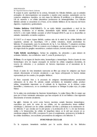 24
INMUNOLOGÍA
Dr. Segundo Francisco García Ledesma
B ocupan la parte superficial de la corteza, formando los folículos linfoides, que en animales
protegidos de microorganismos son pequeños o pueden estar ausentes, aumentando con los
contactos antigénicos repetidos, en esta etapa los linfocitos B proliferan y se diferencian en
LB de memoria o en células plasmáticas productoras de inmunoglobulinas. Los folículos
linfoides además se encuentran en el bazo, en los nódulos linfáticos de las mucosas del tracto
digestivo, respiratorio y genitourinario.
Nódulos linfáticos GALT-BALT.- Es un tejido linfoide especializado a nivel de las
mucosas, localizados en el intestino, denominado tejido linfoide asociado al intestino
(GALT) y otro tejido linfoide asociado al árbol bronquial (BALT), que no se desarrollan en
animales mantenidos en medios asépticos.
El GALT es el mayor órgano linfoide, contiene más de la mitad de las células linfoides del
organismo, además de macrófagos, CD y células reticulares, donde predominan los
linfocitos B programados para la producción de Ig A. Los linfocitos T adquieren proteínas
especiales denominadas CD44 en contacto con el antígeno, que les permite regresar a su lugar
de origen desde los ganglios mesentéricos, conducto torácico, torrente circulatorio.
Tejido linfoide nasofaríngeo.- Incluye las amígdalas, las adenoides y gran número de
acúmulos linfoides, rico en linfocitos tanto T, como B, producen Ig A.
El Bazo.- Es un órgano de función mixta, hematológica e inmunológica. Desde el punto de vista
hematológico sirve de órgano encargado de destruir las células sanguíneas decrépitas, de
reserva de eritrocitos y es productor de factores importantes en el mecanismo de la
coagulación.
Desde el punto de vista inmunitario representa un filtro que atrapa los antígenos que hayan
entrado directamente al torrente circulatorio o que hayan sobrepasado la barrera inmune
representada por los canales y los ganglios linfáticos.
El Bazo responde bien a la presencia de antígenos timoindependientes produciendo
anticuerpos de la clase M, además cumple actividades de inmunidad celular, produce
tufsina, tetrapéptido importante en el estímulo de la fagocitosis, en la defensa contra
haemófilos y neumococos, en su constitución esponjosa se distingue la pulpa roja y la pulpa
blanca.
En la pulpa roja predominan las funciones hematológicas. La pulpa blanca filtra la sangre que
pasa por el bazo reteniendo anticuerpos que han escapado de la red linfática o han ingresado
directamente al torrente circulatorio.
La piel.- Además de servir como barrera mecánica cumple funciones inmunológicas
específicas por parte de varias de sus células, así, los queratinocitos tienen similitud
morfológica y funcional con las células epiteliales del timo y participan en la maduración de
los linfocitos T que circulan por la piel gracias a la producción de IL-1 y de una hormona
similar a la timopoyetina; las células de langerhans únicas en la piel que poseen en su
membrana antigeno HLA-DR y receptores Fc para el complemento, pertenecen a la familia de
las células dendríticas, son excelentes presentadoras de antígenos a los linfocitos T.
INMUNIDAD CELULAR
Es la respuesta inmunitaria mediada por la acción directa de los linfocitos
 