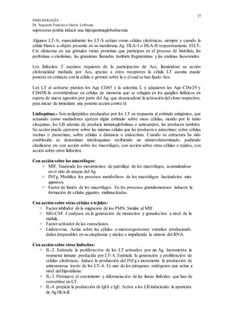 27
INMUNOLOGÍA
Dr. Segundo Francisco García Ledesma
supresoras podría inducir una hipogammaglobulinemia.
Algunos LT-A, especialmente los LT-S actúan como células citotóxicas, siempre y cuando la
célula blanco u objeto presente en su membrana Ag. HLA-I o HLA-II respectivamente. El LT-
Ctx almacena en sus gránulos varias proteínas que participan en el proceso de histólisis, las
perforinas o citolisinas, las granzimas llamadas también fragmentinas y las enzimas lisosomales.
Los linfocitos T asesinos requieren de la participación de Acs, llamándose su acción
citotoxicidad mediada por Acs, gracias a éstos receptores la célula LT asesina puede
ponerse en contacto con la célula o germen sobre la o el cual se han fijado Acs.
Los LT al activarse pierden los Ags CD45 y la selectina L y adquieren los Ags CDw29 y
CD45R-lo convirtiéndose en células de memoria que se refugian en los ganglios linfáticos en
espera de nueva agresión por parte del Ag. que desencadenó la activación del clono respectivo,
para iniciar de inmediato una potente acción contra él.
Linfoquinas.- Son polipéptidos producidos por los LT en respuesta al estímulo antigénico, que
actuando como mediadores ejercen algún estímulo sobre otras células, siendo por lo tanto
citoquinas, los LB además de producir inmunoglobulinas o anticuerpos, las producen también.
Su acción puede ejercerse sobre las mismas células que las producen o autocrinas; sobre células
vecinas o paracrinas; sobre células a distancia o endocrinas. Cuando su estructura ha sido
establecida se denominan interleuquinas recibiendo un númerodeterminado, pudiendo
clasificarse en: con acción sobre los macrófagos, con acción sobre otras células o tejidos, con
acción sobre otros linfocitos.
Con acciónsobre los macrófagos:
> MIF. Suspende los movimientos de patrullaje de los macrófagos, acumulándose
en el sitio de ataque del Ag.
> INFg. Modifica los procesos metabólicos de los macrófagos haciéndolos más
agresivos.
> Factor de fusión de los macrófagos. En los procesos granulomatosos inducen la
formación de células gigantes multinucleadas.
Con acciónsobre otras células o tejidos:
> Factor inhibidor de la migración de los PMN. Similar al MIF.
> MG-CSF. Coadyuva en la generación de monocitos y granulocitos a nivel de la
médula.
> Factor activador de los osteoclastos.
> Linfotoxina. Actúa sobre las células o microorganismos extraños produciendo
daños irreparables en su citoplasma y núcleo e impidiendo la síntesis del RNA.
Con acciónsobre otros linfocitos:
> IL-2. Estimula la proliferación de los LT activados por un Ag. Incrementa la
respuesta inmune producida por LT-A. Estimula la generación y proliferación de
células citotóxicas. Induce la producción del INFg e incrementa la producción de
anticuerposa través de los LT-A. Es uno de los pirógenos endógenos que actúa a
nivel del hipotálamo.
> IL-3. Promueve el crecimiento y diferenciación de las líneas linfoides que han de
convertirse en LT.
> IL-4. propicia la producción de IgGl e IgE. Activa a los LB induciendo la aparición
de Ag HLA-II.
 