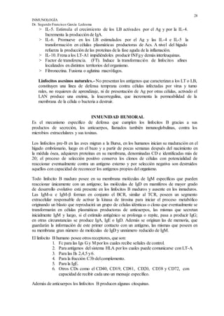 28
INMUNOLOGÍA
Dr. Segundo Francisco García Ledesma
> IL-5. Estimula el crecimiento de los LB activados por el Ag y por la IL-4.
Incrementa la producción de IgA.
> IL-6. Promueve en los LB estimulados por el Ag y las IL-4 e IL-5 la
transformación en células plasmáticas productoras de Acs. A nivel del hígado
refuerza la producción de las proteínas de la fase aguda de la inflamación.
> IL-10. Frena a los LT-A1 impidiéndoles producir INFgy demás interleuquinas.
> Factor de transferencia. (FT). Induce la transformación de linfocitos afines
localizados en distintos territorios del organismo.
> Fibronectina. Fusiona o aglutina macrófagos.
Linfocitos asesinos naturales.- No presentan los antígenos que caracterizan a los LT o LB,
constituyen una línea de defensa temprana contra células infectadas por virus y tumo
rales, no requieren de aprendizaje, ni de presentación de Ag por otras células, activado el
LAN produce una enzima, la leucorregulina, que incrementa la permeabilidad de la
membrana de la célula o bacteria a destruir.
INMUNIDAD HUMORAL
Es el mecanismo específico de defensa que cumplen los linfocitos B gracias a sus
productos de secreción, los anticuerpos, llamados también inmunoglobulinas, contra los
microbios extracelulares y sus toxinas.
Los linfocitos pre-B en las aves migran a la Bursa, en los humanos inician su maduración en el
hígado embrionario, luego en el bazo y a partir de pocas semanas después del nacimiento en
la médula ósea, adquieren proteínas en su membrana, denominadas CD e identificadas más de
20; el proceso de selección positivo conserva los clonos de células con potencialidad de
reaccionar eventualmente contra un antígeno externo y por selección negativa son destruidos
aquellos con capacidad de reconocer los antígenos propios del organismo.
Todo linfocito B maduro posee en su membrana moléculas de IgM específicas que pueden
reaccionar únicamente con un antígeno; las moléculas de IgD en mamíferos de mayor grado
de desarrollo evolutivo está presente en los linfocitos B maduros y ausente en los inmaduros.
Las IgM-α e IgM-β forman en conjunto el BCR, similar al TCR, poseen un segmento
extracelular responsable de activar la kinasa de tirosina para iniciar el proceso metabólico
originando un blasto que reproducirá un grupo de células idénticas o clono que eventualmente se
transformarán en células plasmáticas productoras de anticuerpos, las mismas que secretan
inicialmente IgM y luego, si el estímulo antigénico se prolonga o repite, pasa a producir IgG;
en otras circunstancias se produce IgA, IgE o IgD. Además se originan las de memoria, que
guardarán la información de este primer contacto con un antígeno, las mismas que poseen en
su membrana gran número de moléculas de IgD y unnúmero reducido de IgM.
El linfocito B humano posee otros receptores, que son:
1. Fc para las Igs G y M por los cuales recibe señales de control.
2. Para antígenos del sistema HLA por los cuales puede comunicarse con LT-A.
3. Para las Ils 2,4,5 y6.
4. Para la fracción C3b delcomplemento.
5. Para la IgE.
6. Otros CDs como el CD40, CD19, CD81, CD20, CD38 y CD72, con
capacidad de recibir cada uno un mensaje específico.
Además de anticuerpos los linfocitos B producen algunas citoquinas.
 