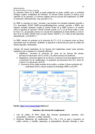 38
INMUNOLOGÍA
Dr. Segundo Francisco García Ledesma
La estructura básica de la MBP se puede polimerizar en grado variable, pero su actividad
biológica requiere complejidad del tetrámero. El extremo lectina reconoce la manosa en la
superficie de los gérmenes y el extremo colágeno activa la cascada del complemento. La MBP
es estructural y funcionalmente muy parecida a C1q.
La MBP se encuentra en suero asociada a una proteína con actividad enzimática parecida a
C1s denominada MASP (MBP-assocatedbindingprotein, proteína asociada a MBP), que
adquiere actividad enzimática cuando el extremo lectina de la MBP reconoce a la manosa
sobre la superficie de gérmenes. MASP activada escinde a C2 y C4 de forma similar a como
los hace C1s, progresando entonces la cascada del complemento de forma idéntica a como lo
hace en la vía clásica. MASP existe en cuatro formas: MASP-1, 2,3 y Map, la más importante
funcionalmente es la MASP-2.
La MBP, además de participar en la activación de C2 y C4, se comporta como un factor
opsonizante para los gérmenes, facilitando su fagocitosis y destrucción por parte de células del
sistema fagocítico mononuclear.
Además del normal catabolismo de los factores del complemento existen varias proteínas
reguladoras que se agrupan en 3 categorías diferentes:
1. Inhibidoras, previenen la activación de varios de los factores del sistema,
pertenecen el inactivador del Cl, el CR1 y el cofactor proteico de membrana.
2. Reguladoras, desactivan algunos de los factores, pertenecen la proteína ligadora del C4,
el inactivador de las anafilotoxinas, el acelerador del inactivador del C3b o factor H,
el factor I y el inactivador del C5b.
3. Protectores de las células normales de los tejidos, se incluye el factor acelerador del
catabolismo (DAF), el factor restrictor de homología (HRF) y el CD59.
Fuente: http://www.inmunologíaenlinea.es/
Funciones del sistema del complemento
1. Lisis de células, El MAC puede lisar bacterias gramnegativas, parásitos, virus
encapsulados, eritrocitos y células nucleadas.
2. Respuesta inflamatoria, las anafilotoxinas C3a, C4a y C5a se unen a receptores en
células cebadas y basófilas, induciendo su degranulación, liberando histamina y otras
 