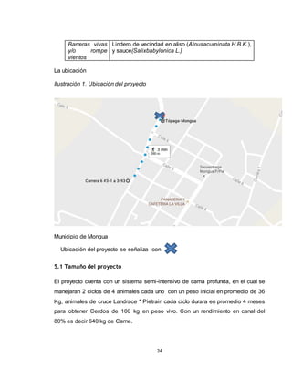 24
Barreras vivas
y/o rompe
vientos
Lindero de vecindad en aliso (Alnusacuminata H.B.K.),
y sauce(Salixbabylonica L.)
La ubicación
Ilustración 1. Ubicación del proyecto
Municipio de Mongua
Ubicación del proyecto se señaliza con
5.1 Tamaño del proyecto
El proyecto cuenta con un sistema semi-intensivo de cama profunda, en el cual se
manejaran 2 ciclos de 4 animales cada uno con un peso inicial en promedio de 36
Kg, animales de cruce Landrace * Pietrain cada ciclo durara en promedio 4 meses
para obtener Cerdos de 100 kg en peso vivo. Con un rendimiento en canal del
80% es decir 640 kg de Carne.
 