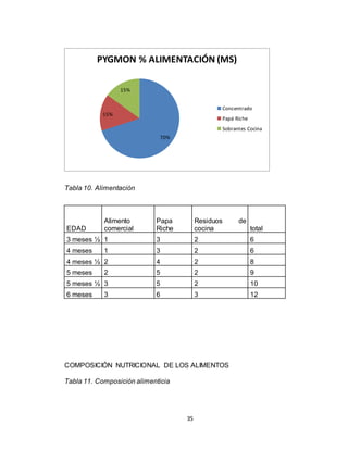 35
Tabla 10. Alimentación
EDAD
Alimento
comercial
Papa
Riche
Residuos de
cocina total
3 meses ½ 1 3 2 6
4 meses 1 3 2 6
4 meses ½ 2 4 2 8
5 meses 2 5 2 9
5 meses ½ 3 5 2 10
6 meses 3 6 3 12
COMPOSICIÓN NUTRICIONAL DE LOS ALIMENTOS
Tabla 11. Composición alimenticia
70%
15%
15%
PYGMON % ALIMENTACIÓN (MS)
Concentrado
Papá Riche
Sobrantes Cocina
 