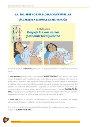 380
AIEPI - Libro Clínico
3 - Evaluar y clasificar el niño de dos meses a cinco años
3.4. SI EL BEBÉ NO ESTÁ LLORANDO: DESPEJE LAS
VÍAS AÉREAS Y ESTIMULE LA RESPIRACIÓN
El plan de acción de color verde, ya revisado, son los cuidados de rutina necesarios para todos los
bebés.
El color amarillo representa el concepto clave del MINUTO DE ORO, que corresponde al primer
minuto después del nacimiento, tiempo justo para realizar acciones inmediatas al bebé cuando no
está llorando o respirando bien después del secado, que implica evaluarlo si llora o no llora; despejar
la vía aérea, si es necesario; estimular la respiración o iniciar la ventilación con bolsa y máscara, si el
bebé no está respirando adecuadamente. Todas estas son acciones vitales que salvan vidas y que
se deben realizar en el primer minuto después del nacimiento, esto es llamado EL MINUTO DE
ORO, porque explica la razón fisiológica de hacer énfasis en el inicio de la respiración y la respuesta
rápida ante la necesidad de ayudar al bebé, que debe dar el personal de salud.
El color rojo indica la necesidad de reanimación más prolongada o avanzada, que incluye:
administración de oxígeno, intubación, compresiones cardiacas y medicamentos.
Si el bebé no está llorando o respirando bien después del secado, usted necesitará ayudarlo a
respirar en EL MINUTO DE ORO.
 