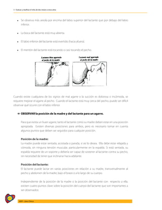 472
AIEPI - Libro Clínico
3 - Evaluar y clasificar el niño de dos meses a cinco años
l	 Se observa más areola por encima del labio superior del lactante que por debajo del labio
inferior.
l 	 La boca del lactante está muy abierta.
l 	 El labio inferior del lactante está evertido (hacia afuera).
l 	 El mentón del lactante está tocando o casi tocando el pecho.
Cuando existe cualquiera de los signos de mal agarre o la succión es dolorosa o incómoda, se
requiere mejorar el agarre al pecho. Cuando el lactante está muy cerca del pecho, puede ser difícil
observar qué ocurre con el labio inferior.
1
1 OBSERVAR la posición de la madre y del lactante para un agarre.
	 Para que exista un buen agarre, tanto el lactante como su madre deben estar en una posición
apropiada. Existen diversas posiciones para ambos, pero es necesario tomar en cuenta
algunos puntos que deben ser seguidos para cualquier posición.
	
	 Posición de la madre:
	 La madre puede estar sentada, acostada o parada, si así lo desea. Ella debe estar relajada y
cómoda, sin ninguna tensión muscular, particularmente en la espalda. Si está sentada, su
espalda requiere de un soporte y debería ser capaz de sostener al lactante contra su pecho,
sin necesidad de tener que inclinarse hacia adelante.
	
	 Posición del lactante:
	 El lactante puede lactar en varias posiciones en relación a su madre, transversalmente al
pecho y abdomen de la madre, bajo el brazo o a lo largo de su cuerpo.
	 Independiente de la posición de la madre o la posición del lactante con respecto a ella,
existen cuatro puntos clave sobre la posición del cuerpo del lactante que son importantes a
ser observados:
 