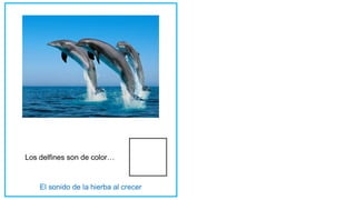Los delfines son de color…
 