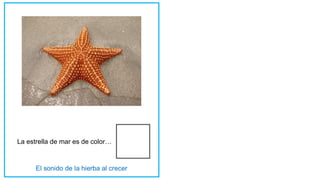La estrella de mar es de color…
 