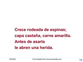 Crece rodeada de espinas; capa castaña, carne amarilla. Antes de asarla  le abren una herida. 