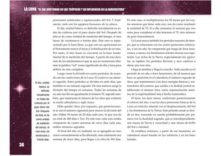 LA LUNA “EL SOL NOCTURNO EN LOS TRÓPICOS Y SU INFLUENCIA EN LA AGRICULTURA”

                           posiciones solsticiales y equinocciales del Sol. Y final-     En este caso, si multiplicamos los 18 meses por las cua-
                           mente, siete son los agujeros humanos de la cabeza.           tro semanas que tiene cada uno, nos da como resultado
                                El día, unidad básica, es definido inicialmente en to-   la cantidad de 72. Si a ello sumamos la semana que nos
                           das las culturas por el paso diario del Sol. Después de       resta para completar el año tenemos el 73, otro número
                           éste se da como unidad de medición del tiempo, el mes         de gran trascendencia.
                           lunar, de veintinueve o treinta días. Este mes es repre-          La Luna marca también los períodos mayores de tiem-
                           sentado por la luna llena, ya que con sus apariciones en      po, que se relacionan con las cuatro posiciones solsticia-
                           el firmamento marca el inicio y la finalización de un mes.    les, o sea un año. Se comprende que luego de doce luna-
                           Por tanto, el mes lunar se convierte en la base funda-        ciones, o meses, los fenómenos celestes inician una repe-
                           mental de la medición del tiempo. A partir de esta deci-      tición. Los ciclos de la Tierra, especialmente los agríco-
                           sión de los astrónomos es que se usa en numerosos idio-       las, se repiten: los períodos lluvioso y seco vuelven a
                           mas la palabra “sol” como significado de día y luna para      darse uno tras otro.
                           definir un mes completo.                                          Llega la siembra y llega la cosecha. Todo sucede en el
                                Luego viene la división en cuatro períodos, de acuer-    período de un año o doce lunaciones, de tal manera que
                           do con las cuatro fases de la Luna. El cuatro es un núme-     hace su aparición en el calendario el número sagrado de
         El día, unidad    ro sagrado. Estos períodos se dividen en siete días, que      doce, que representará a las doce energías básicas y sos-
             básica, es    también es un número sagrado. De esta manera surge la         tenedoras del cosmos, que unidas a la deidad central es-
                definido   división del tiempo en semanas. Todas las semanas de          tablecerán el número trece como representación máxi-
          inicialmente     un año nos llevan igualmente al número 52, sagrado tam-       ma de la espiritualidad maya hecha matemática.
          en todas las     bién, que representa el número de los años que contiene           El doce, los doce meses, conforman posteriormente
        culturas por el    la rueda calendárica o siglo maya.                            el criterio del año, o sea las doce posiciones básicas de la
        paso diario del         Debe quedar claro, por supuesto, que posteriormen-       Luna en estrecha relación con el desplazamiento del Sol
         Sol. Después      te se usó el sistema vigesimal para marcar la división del    y los fenómenos de la Tierra. Este período anual se divi-
         de éste se da     año. Había 18 meses de 20 días cada uno, lo que nos da        de en dos, tomando en cuenta probablemente por pri-
         como unidad       un total de 360 días o Tun. En este caso cada mes estaba      mera vez la dualidad sagrada, que es interdependiente:
          de medición      compuesto de cuatro semanas de cinco días cada una,           seis meses de lluvia y oscuridad y seis meses de brillo
         del tiempo, el    ambos números sagrados.                                       del Sol o claridad.
         mes lunar, de          Al final del año, en realidad, no se agregaba un mes         Se establece entonces, a partir de ese momento, un
         veintinueve o     como constantemente se ha afirmado, sino solamente una        calendario anual basado en los solsticios y en las fases
                           semana de cinco días, para llegar a la cifra de 365 días.     lunares.

36
           treinta días.
 