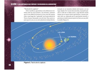LA LUNA “EL SOL NOCTURNO EN LOS TRÓPICOS Y SU INFLUENCIA EN LA AGRICULTURA”

                          “Teoría de la captura”                                       formado en un momento distinto del nuestro y en un
                              Otros científicos, apoyándose en las diferencias exis-   lugar alejado. Por razones desconocidas, el pequeño pla-
                          tentes entre las rocas lunares y las terrestres, sostienen   neta se salió de su órbita usual y vagó durante mucho
                          que la Luna debió de formarse en otra zona del sistema       tiempo por el espacio hasta aproximarse a nuestro pla-
                          solar, y que luego fue “capturada” por la gravedad de la     neta, para ser capturado por la gravitación terrestre y
                          Tierra al pasar demasiado cerca de ésta. Esta teoría su-     permanecer desde entonces junto a la Tierra en una órbi-
                          pone que la Luna era un astro planetario independiente,      ta estable (Figura 5).




44
                          Figura 5. Teoría de la captura
 