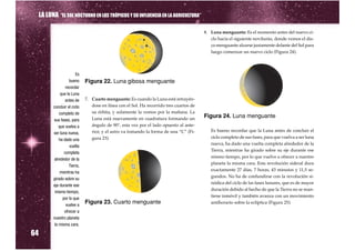 LA LUNA “EL SOL NOCTURNO EN LOS TRÓPICOS Y SU INFLUENCIA EN LA AGRICULTURA”

                                                                                           8. Luna menguante: Es el momento antes del nuevo ci-
                                                                                              clo hacia el siguiente novilunio, donde vemos el dis-
                                                                                              co menguante alzarse justamente delante del Sol para
                                                                                              luego comenzar un nuevo ciclo (Figura 24).



                         Es
                     bueno     Figura 22. Luna gibosa menguante
                   recordar
                que la Luna
                   antes de    7. Cuarto menguante: Es cuando la Luna está retrayén-
           concluir el ciclo      dose en línea con el Sol. Ha recorrido tres cuartos de
               completo de        su órbita, y solamente la vemos por la mañana. La
                                  Luna está nuevamente en cuadratura formando un
                                                                                           Figura 24. Luna menguante
           sus fases, para
                                  ángulo de 90°, esta vez por el lado opuesto al ante-
                                                                                              Es bueno recordar que la Luna antes de concluir el
               que vuelva a
                                  rior, y el astro va tomando la forma de una “C” (Fi-
                                                                                              ciclo completo de sus fases, para que vuelva a ser luna
           ser luna nueva,
                                  gura 23).
                                                                                              nueva, ha dado una vuelta completa alrededor de la
               ha dado una

                                                                                              Tierra, mientras ha girado sobre su eje durante ese
                      vuelta

                                                                                              mismo tiempo, por lo que vuelve a ofrecer a nuestro
                  completa

                                                                                              planeta la misma cara. Esta revolución sideral dura
           alrededor de la

                                                                                              exactamente 27 días, 7 horas, 43 minutos y 11,5 se-
                     Tierra,

                                                                                              gundos. No ha de confundirse con la revolución si-
                mientras ha

                                                                                              nódica del ciclo de las fases lunares, que es de mayor
           girado sobre su

                                                                                              duración debido al hecho de que la Tierra no se man-
           eje durante ese

                                                                                              tiene inmóvil y también avanza con un movimiento
            mismo tiempo,

                                                                                              antihorario sobre la eclíptica (Figura 25).
                 por lo que
                   vuelve a
                               Figura 23. Cuarto menguante
                  ofrecer a
           nuestro planeta


64
            la misma cara.
 