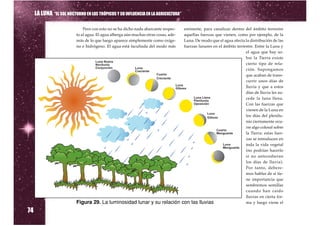 LA LUNA “EL SOL NOCTURNO EN LOS TRÓPICOS Y SU INFLUENCIA EN LA AGRICULTURA”

                              Pero con esto no se ha dicho nada abarcante respec-     eminente, para canalizar dentro del ámbito terrestre
                          to al agua. El agua alberga aún muchas otras cosas, ade-    aquellas fuerzas que vienen, como por ejemplo, de la
                          más de lo que luego aparece simplemente como oxíge-         Luna. De modo que el agua afecta la distribución de las
                          no e hidrógeno. El agua está facultada del modo más         fuerzas lunares en el ámbito terrestre. Entre la Luna y
                                                                                                                        el agua que hay so-
                                                                                                                        bre la Tierra existe
                                                                                                                        cierto tipo de rela-
                                                                                                                        ción. Supongamos
                                                                                                                        que acaban de trans-
                                                                                                                        currir unos días de
                                                                                                                        lluvia y que a estos
                                                                                                                        días de lluvia les su-
                                                                                                                        cede la luna llena.
                                                                                                                        Con las fuerzas que
                                                                                                                        vienen de la Luna en
                                                                                                                        los días del plenilu-
                                                                                                                        nio ciertamente ocu-
                                                                                                                        rre algo colosal sobre
                                                                                                                        la Tierra: estas fuer-
                                                                                                                        zas se introducen en
                                                                                                                        toda la vida vegetal
                                                                                                                        (no podrían hacerlo
                                                                                                                        si no antecedieran
                                                                                                                        los días de lluvia).
                                                                                                                        Por tanto, debere-
                                                                                                                        mos hablar de si tie-
                                                                                                                        ne importancia que
                                                                                                                        sembremos semillas
                                                                                                                        cuando han caído
                                                                                                                        lluvias en cierta for-
                                                                                                                        ma y luego viene el

74
                          Figura 29. La luminosidad lunar y su relación              con las lluvias
 