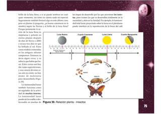 brillo de la luna llena, o si se puede sembrar en cual- las etapas de desarrollo por las que atraviesan los insec-
quier momento, sin tener en cuenta nada en especial.    tos, pues existen los que se desarrollan totalmente en la
Seguramente también brotará algo en este último caso,   oscuridad y otros en la claridad. Por ejemplo, la luminosi-
pero se plantea la pregunta, ¿es bueno orientarse en la dad total lunar proyectada sobre la tierra en el plenilunio
siembra según las lluvias y el brillo de la luna llena? puede interferir en la reproducción de la broca del café
Porque justamente la ac-
ción de la luna llena es
impetuosa y potente en
ciertas plantas después
de días de lluvia y débil
y escasa tras días en que
ha brillado el sol. Estas
cosas estaban contenidas
en los antiguos refranes
campesinos. Entonces se
decía algún verso, y se
sabía lo que había que ha-
cer. Estos versos son hoy
día viejas supersticiones,
y una ciencia de estas co-
sas aún no existe: no hay
ánimo de molestarse
para desarrollarla (Figu-
ra 29).
    La luminosidad lunar
también funciona como
un regulador de la activi-
dad de muchos insectos.
La luminosidad lunar
puede ser favorable o des-
favorable en muchas de Figura 30. Relación planta - insectos

                                                                                                                      75
 