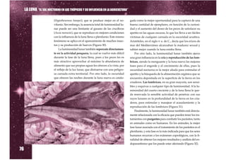 LA LUNA “EL SOL NOCTURNO EN LOS TRÓPICOS Y SU INFLUENCIA EN LA AGRICULTURA”

                          (Hypothenemus hampei), que se produce mejor en el no-         gada como la mejor oportunidad para la captura de una
                          vilunio. Sin embargo, la ausencia total de luminosidad lu-    buena cantidad de ejemplares, en función de la curiosi-
                          nar puede ser una limitante al gusano de las crucíferas       dad y el aumento del deseo de los peces de satisfacer su
                          (Ascia monuste), que se reproduce en mejores condiciones      apetito en las aguas oscuras, lo que los lleva a ser fáciles
                          con la influencia de la luna llena o plenilunio. Este mismo   víctimas de cualquier carnada en la oscuridad acuática.
                          fenómeno se aplica en el apareamiento de muchos insec-        Aristóteles, en el siglo IV a. de C., decía que los erizos de
                          tos y su producción de huevos (Figura 30).                    mar del Mediterráneo alcanzaban la madurez sexual y
                              La luminosidad lunar también repercute directamen-        sabían mejor cuando la luna estaba llena.
                          te en la actividad pesquera, la cual se vuelve más difícil        Por otro lado, la luminosidad lunar también ejerce
                          durante la fase de la luna llena, pues a los peces les es     una gran influencia en la cría y reproducción de las lom-
                          más atractivo aprovechar al máximo la abundancia de           brices, siendo la menguante y la luna nueva las mejores
                          alimento que sus propias aguas les ofrecen a la vista, por    fases para el engorde y el crecimiento de ellas, pues la
                          el reflejo de la luz lunar, que distraerse con una peligro-   oscuridad nocturna es la mejor aliada para estimular el
                          sa carnada extra territorial. Por otro lado, la oscuridad     apetito y la búsqueda de la alimentación orgánica que se
                          que ofrecen las noches durante la luna nueva es catalo-       encuentra depositada en la superficie de la tierra en los
                                                                                        criaderos. Las lombrices, en su gran mayoría, son sensi-
                                                                                        bles y esquivas a cualquier tipo de luminosidad. A la lu-
                                                                                        minosidad del cuarto creciente y de la luna llena le que-
                                                                                        da reservada la sensible actividad de penetrar con sus
                                                                                        rayos lunares en la profundidad de la tierra en los cria-
                                                                                        deros, para estimular y masajear el acasalamiento y la
                                                                                        reproducción de las lombrices (Figura 31).
                                                                                            Finalmente, la luminosidad lunar también está directa-
                                                                                        mente relacionada con la eficacia que pueden tener los tra-
                                                                                        tamientos con purgantes para combatir los parásitos, tanto
                                                                                        en animales como en humanos. En los animales, la mejor
                                                                                        fase lunar asociada con el tratamiento de los parásitos es el
                                                                                        plenilunio, y esta fase es la más indicada para que los seres
                                                                                        humanos recurran a los exámenes coprológicos, con la fi-
                                                                                        nalidad de obtener los mejores resultados y análisis del en-
                                                                                        doparasitismo que los puede estar afectando (Figura 32).

76
 