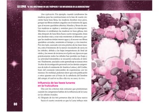 LA LUNA “EL SOL NOCTURNO EN LOS TRÓPICOS Y SU INFLUENCIA EN LA AGRICULTURA”

                          Una explicación: Por ejemplo, cuando cortábamos las
                      maderas para las construcciones en la fase de cuarto cre-
                      ciente hacia luna llena, las maderas duraban muy poco,
                      porque sus fibras estaban cargadas con el máximo de agua,
                      que al secarse quedaban abiertas, blandas y llenas de aire.
                      Las maderas se rajaban y resistían poco a la intemperie.
                      Mientras si cortábamos las maderas en luna gibosa, tres
                      días después de luna llena hacia cuarto menguante, éstas
                      nos duraban más y eran más resistentes al deterioro, por-
                      que las maderas tenían menos agua y al secarse sus fibras
                      quedaban cerradas, resistentes al tiempo y a los insectos.
                      Por otro lado, asociado con esta práctica de las fases luna-
                      res, está el fenómeno de la menor circulación de savia en
                      los árboles, debido a las bajas temperaturas de final de
                      otoño y los meses de invierno en el polo sur, época en que
                      prácticamente todos los árboles han perdido sus hojas y
                      su actividad fotosintética se encuentra reducida al míni-
                      mo. Finalmente, asociado a este aprendizaje se suman otros
                      16 años de investigación personal con los demás campesi-
                      nos de todo el continente de América Latina y del Caribe,
                      fruto del constante intercambio de experiencias con los
                      mismos. En realidad, podemos decir que esta publicación
                      o estos apuntes son el fruto de la sabiduría del hombre
                      del campo, el cual en su día a día rra, su casa y la VIDA.

                      Influencia de las fases lunares
                      en la fruticultura
                          Dos son los criterios más comunes que predominan
                      cuando los campesinos hablan de la influencia de la Luna
                      en los árboles frutales:
                      A) Después de los tres primeros días de la luna nueva
                          hacia el cuarto creciente es que la Luna influye más

80
 