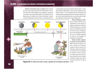 LA LUNA “EL SOL NOCTURNO EN LOS TRÓPICOS Y SU INFLUENCIA EN LA AGRICULTURA”

                             Poda de renovación: socas o recepas: Estas activida-         vo aguas abajo, para que las plantas sufran menos o, como
                          des son las que están directamente relacionadas con la re-      dicen algunos agricultores, “para que las plantas se des-
                          novación del cafetal después que comienza a presentar           angren menos”. Se recomienda que esta actividad esté
                          una caída en la producción de granos. El período más in-        acompañada simultáneamente de una buena abonada, ya
                          dicado para la realización de estas actividades, conside-       sea con un buen biofertilizante o con un buen abono orgá-
                          rando las diferentes fases de la luna, es el período intensi-   nico aplicado directamente al suelo (Figura 46).
                                                                                                                          Poda de limpieza sanita-
                                                                                                                      ria: A muchos cafetales, prin-
                                                                                                                      cipalmente los más viejos, en
                                                                                                                      algunos momentos se les hace
                                                                                                                      la poda de limpieza, actividad
                                                                                                                      que se recomienda realizar en
                                                                                                                      la fase de la luna menguante
                                                                                                                      para evitar el desgaste del cul-
                                                                                                                      tivo con un rebrote exagerado
                                                                                                                      de ramas y de chupones no
                                                                                                                      productivos (Figura 46).
                                                                                                                          Podas de estrés vegetati-
                                                                                                                      vo, previa a las socas del cul-
                                                                                                                      tivo: Este tipo de poda no es
                                                                                                                      muy común en los lugares
                                                                                                                      donde se cultiva el grano; sin
                                                                                                                      embargo, algunos producto-
                                                                                                                      res la realizan con la finalidad
                                                                                                                      de obtener o forzar una bue-
                                                                                                                      na cosecha antes de la soca de
                                                                                                                      renovación del cultivo. Regu-
                                                                                                                      larmente escogen para ello el
                                                                                                                      período intensivo de aguas
                                                                                          la limpieza sanitaria arriba.
94
                          Figura 46. El cultivo del café: socas y podas de
 
