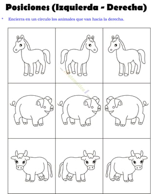 Posiciones (Izquierda - Derecha)
* Encierra en un círculo los animales que van hacia la derecha.
 