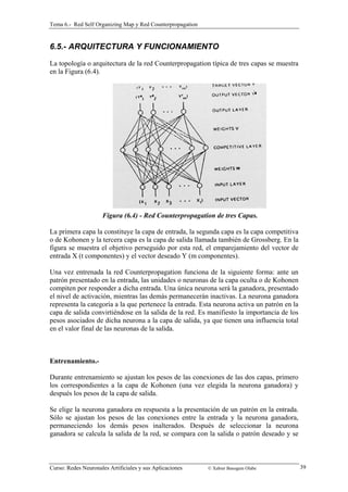 Tema 6.- Red Self Organizing Map y Red Counterpropagation 
6.5.- ARQUITECTURA Y FUNCIONAMIENTO 
La topología o arquitectura de la red Counterpropagation típica de tres capas se muestra 
en la Figura (6.4). 
Figura (6.4) - Red Counterpropagation de tres Capas. 
La primera capa la constituye la capa de entrada, la segunda capa es la capa competitiva 
o de Kohonen y la tercera capa es la capa de salida llamada también de Grossberg. En la 
figura se muestra el objetivo perseguido por esta red, el emparejamiento del vector de 
entrada X (t componentes) y el vector deseado Y (m componentes). 
Una vez entrenada la red Counterpropagation funciona de la siguiente forma: ante un 
patrón presentado en la entrada, las unidades o neuronas de la capa oculta o de Kohonen 
compiten por responder a dicha entrada. Una única neurona será la ganadora, presentado 
el nivel de activación, mientras las demás permanecerán inactivas. La neurona ganadora 
representa la categoría a la que pertenece la entrada. Esta neurona activa un patrón en la 
capa de salida convirtiéndose en la salida de la red. Es manifiesto la importancia de los 
pesos asociados de dicha neurona a la capa de salida, ya que tienen una influencia total 
en el valor final de las neuronas de la salida. 
Entrenamiento.- 
Durante entrenamiento se ajustan los pesos de las conexiones de las dos capas, primero 
los correspondientes a la capa de Kohonen (una vez elegida la neurona ganadora) y 
después los pesos de la capa de salida. 
Se elige la neurona ganadora en respuesta a la presentación de un patrón en la entrada. 
Sólo se ajustan los pesos de las conexiones entre la entrada y la neurona ganadora, 
permaneciendo los demás pesos inalterados. Después de seleccionar la neurona 
ganadora se calcula la salida de la red, se compara con la salida o patrón deseado y se 
Curso: Redes Neuronales Artificiales y sus Aplicaciones © Xabier Basogain Olabe 3 9 
 