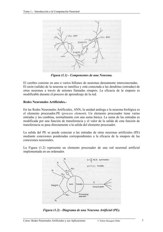 Tema 1.- Introducción a la Computación Neuronal 
Figura (1.1) - Componentes de una Neurona. 
El cerebro consiste en uno o varios billones de neuronas densamente interconectadas. 
El axón (salida) de la neurona se ramifica y está conectada a las dendritas (entradas) de 
otras neuronas a través de uniones llamadas sinapsis. La eficacia de la sinpasis es 
modificable durante el proceso de aprendizaje de la red. 
Redes Neuronales Artificiales.- 
En las Redes Neuronales Artificiales, ANN, la unidad análoga a la neurona biológica es 
el elemento procesador,PE (process element). Un elemento procesador tiene varias 
entradas y las combina, normalmente con una suma básica. La suma de las entradas es 
modificada por una función de transferencia y el valor de la salida de esta función de 
transferencia se pasa directamente a la salida del elemento procesador. 
La salida del PE se puede conectar a las entradas de otras neuronas artificiales (PE) 
mediante conexiones ponderadas correspondientes a la eficacia de la sinapsis de las 
conexiones neuronales. 
La Figura (1.2) representa un elemento procesador de una red neuronal artificial 
implementada en un ordenador. 
Figura (1.2) - Diagrama de una Neurona Artificial (PE). 
Curso: Redes Neuronales Artificiales y sus Aplicaciones © Xabier Basogain Olabe 3 
 