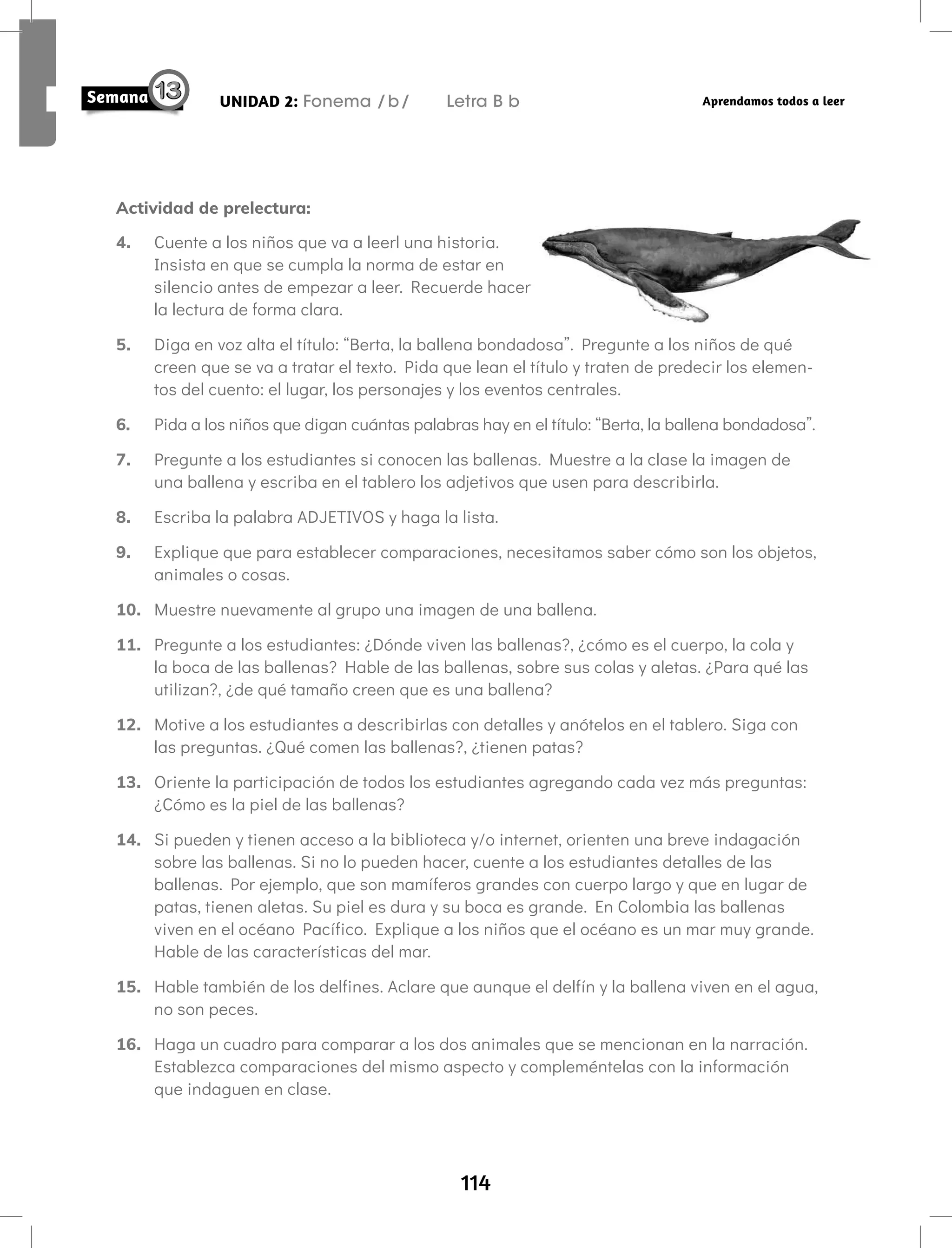 114
UNIDAD 2: Fonema /b/ Letra B b Aprendamos todos a leer
Actividad de prelectura:
4. Cuente a los niños que va a leerl una historia.
Insista en que se cumpla la norma de estar en
silencio antes de empezar a leer. Recuerde hacer
la lectura de forma clara.
5. Diga en voz alta el título: “Berta, la ballena bondadosa”. Pregunte a los niños de qué
creen que se va a tratar el texto. Pida que lean el título y traten de predecir los elemen-
tos del cuento: el lugar, los personajes y los eventos centrales.
6. Pida a los niños que digan cuántas palabras hay en el título: “Berta, la ballena bondadosa”.
7. Pregunte a los estudiantes si conocen las ballenas. Muestre a la clase la imagen de
una ballena y escriba en el tablero los adjetivos que usen para describirla.
8. Escriba la palabra ADJETIVOS y haga la lista.
9. Explique que para establecer comparaciones, necesitamos saber cómo son los objetos,
animales o cosas.
10. Muestre nuevamente al grupo una imagen de una ballena.
11. Pregunte a los estudiantes: ¿Dónde viven las ballenas?, ¿cómo es el cuerpo, la cola y
la boca de las ballenas? Hable de las ballenas, sobre sus colas y aletas. ¿Para qué las
utilizan?, ¿de qué tamaño creen que es una ballena?
12. Motive a los estudiantes a describirlas con detalles y anótelos en el tablero. Siga con
las preguntas. ¿Qué comen las ballenas?, ¿tienen patas?
13. Oriente la participación de todos los estudiantes agregando cada vez más preguntas:
¿Cómo es la piel de las ballenas?
14. Si pueden y tienen acceso a la biblioteca y/o internet, orienten una breve indagación
sobre las ballenas. Si no lo pueden hacer, cuente a los estudiantes detalles de las
ballenas. Por ejemplo, que son mamíferos grandes con cuerpo largo y que en lugar de
patas, tienen aletas. Su piel es dura y su boca es grande. En Colombia las ballenas
viven en el océano Pacífico. Explique a los niños que el océano es un mar muy grande.
Hable de las características del mar.
15. Hable también de los delfines. Aclare que aunque el delfín y la ballena viven en el agua,
no son peces.
16. Haga un cuadro para comparar a los dos animales que se mencionan en la narración.
Establezca comparaciones del mismo aspecto y compleméntelas con la información
que indaguen en clase.
 