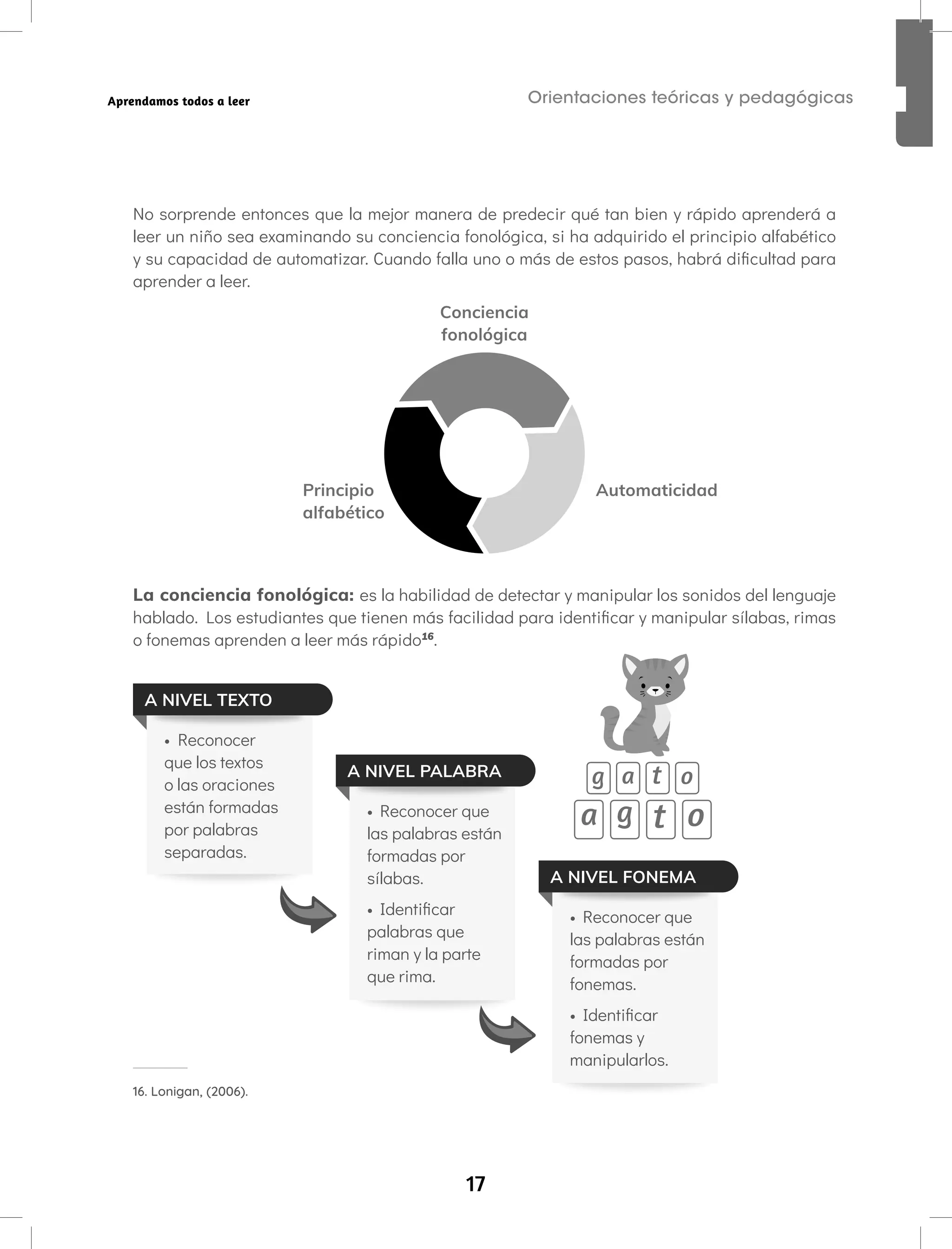 17
Orientaciones teóricas y pedagógicas
Aprendamos todos a leer
No sorprende entonces que la mejor manera de predecir qué tan bien y rápido aprenderá a
leer un niño sea examinando su conciencia fonológica, si ha adquirido el principio alfabético
y su capacidad de automatizar. Cuando falla uno o más de estos pasos, habrá dificultad para
aprender a leer.
Automaticidad
Conciencia
fonológica
Principio
alfabético
La conciencia fonológica: es la habilidad de detectar y manipular los sonidos del lenguaje
hablado. Los estudiantes que tienen más facilidad para identificar y manipular sílabas, rimas
o fonemas aprenden a leer más rápido16
.
• Reconocer
que los textos
o las oraciones
están formadas
por palabras
separadas.
• Reconocer que
las palabras están
formadas por
sílabas.
• Identificar
palabras que
riman y la parte
que rima.
• Reconocer que
las palabras están
formadas por
fonemas.
• Identificar
fonemas y
manipularlos.
A NIVEL TEXTO
A NIVEL PALABRA
A NIVEL FONEMA
16. Lonigan, (2006).
 