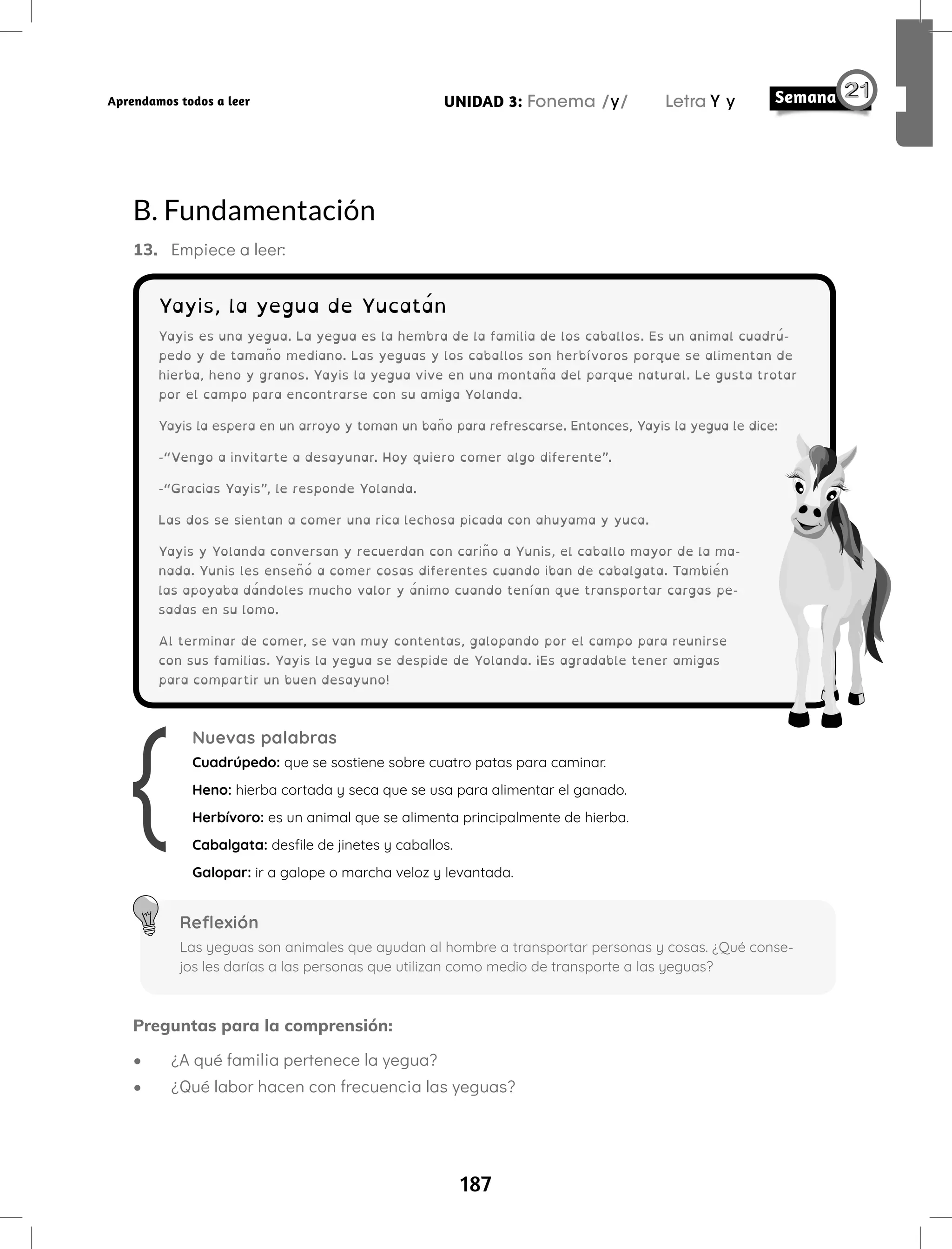 187
UNIDAD 3: Fonema /y/ Letra Y y
Aprendamos todos a leer
B. Fundamentación
13. Empiece a leer:
Yayis, la yegua de Yucatán
Yayis es una yegua. La yegua es la hembra de la familia de los caballos. Es un animal cuadrú-
pedo y de tamaño mediano. Las yeguas y los caballos son herbívoros porque se alimentan de
hierba, heno y granos. Yayis la yegua vive en una montaña del parque natural. Le gusta trotar
por el campo para encontrarse con su amiga Yolanda.
Yayis la espera en un arroyo y toman un baño para refrescarse. Entonces, Yayis la yegua le dice:
-“Vengo a invitarte a desayunar. Hoy quiero comer algo diferente”.
-“Gracias Yayis”, le responde Yolanda.
Las dos se sientan a comer una rica lechosa picada con ahuyama y yuca.
Yayis y Yolanda conversan y recuerdan con cariño a Yunis, el caballo mayor de la ma-
nada. Yunis les enseñó a comer cosas diferentes cuando iban de cabalgata. También
las apoyaba dándoles mucho valor y ánimo cuando tenían que transportar cargas pe-
sadas en su lomo.
Al terminar de comer, se van muy contentas, galopando por el campo para reunirse
con sus familias. Yayis la yegua se despide de Yolanda. ¡Es agradable tener amigas
para compartir un buen desayuno!
Nuevas palabras
Cuadrúpedo: que se sostiene sobre cuatro patas para caminar.
Heno: hierba cortada y seca que se usa para alimentar el ganado.
Herbívoro: es un animal que se alimenta principalmente de hierba.
Cabalgata: desfile de jinetes y caballos.
Galopar: ir a galope o marcha veloz y levantada.
Reflexión
Las yeguas son animales que ayudan al hombre a transportar personas y cosas. ¿Qué conse-
jos les darías a las personas que utilizan como medio de transporte a las yeguas?
Preguntas para la comprensión:
• ¿A qué familia pertenece la yegua?
• ¿Qué labor hacen con frecuencia las yeguas?
 