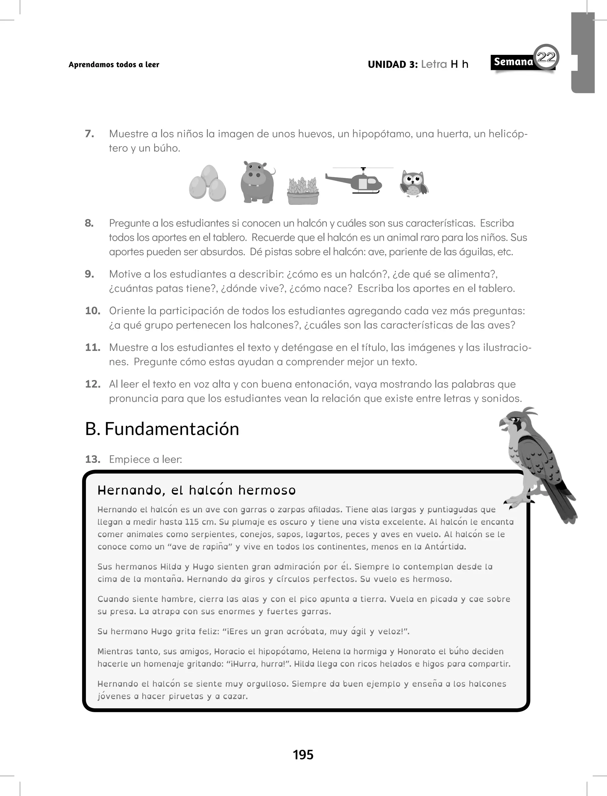 195
UNIDAD 3: Letra H h
Aprendamos todos a leer
7. Muestre a los niños la imagen de unos huevos, un hipopótamo, una huerta, un helicóp-
tero y un búho.
8. Pregunte a los estudiantes si conocen un halcón y cuáles son sus características. Escriba
todos los aportes en el tablero. Recuerde que el halcón es un animal raro para los niños. Sus
aportes pueden ser absurdos. Dé pistas sobre el halcón: ave, pariente de las águilas, etc.
9. Motive a los estudiantes a describir: ¿cómo es un halcón?, ¿de qué se alimenta?,
¿cuántas patas tiene?, ¿dónde vive?, ¿cómo nace? Escriba los aportes en el tablero.
10. Oriente la participación de todos los estudiantes agregando cada vez más preguntas:
¿a qué grupo pertenecen los halcones?, ¿cuáles son las características de las aves?
11. Muestre a los estudiantes el texto y deténgase en el título, las imágenes y las ilustracio-
nes. Pregunte cómo estas ayudan a comprender mejor un texto.
12. Al leer el texto en voz alta y con buena entonación, vaya mostrando las palabras que
pronuncia para que los estudiantes vean la relación que existe entre letras y sonidos.
B. Fundamentación
13. Empiece a leer:
Hernando, el halcón hermoso
Hernando el halcón es un ave con garras o zarpas afiladas. Tiene alas largas y puntiagudas que
llegan a medir hasta 115 cm. Su plumaje es oscuro y tiene una vista excelente. Al halcón le encanta
comer animales como serpientes, conejos, sapos, lagartos, peces y aves en vuelo. Al halcón se le
conoce como un “ave de rapiña” y vive en todos los continentes, menos en la Antártida.
Sus hermanos Hilda y Hugo sienten gran admiración por él. Siempre lo contemplan desde la
cima de la montaña. Hernando da giros y círculos perfectos. Su vuelo es hermoso.
Cuando siente hambre, cierra las alas y con el pico apunta a tierra. Vuela en picada y cae sobre
su presa. La atrapa con sus enormes y fuertes garras.
Su hermano Hugo grita feliz: “¡Eres un gran acróbata, muy ágil y veloz!”.
Mientras tanto, sus amigos, Horacio el hipopótamo, Helena la hormiga y Honorato el búho deciden
hacerle un homenaje gritando: “¡Hurra, hurra!”. Hilda llega con ricos helados e higos para compartir.
Hernando el halcón se siente muy orgulloso. Siempre da buen ejemplo y enseña a los halcones
jóvenes a hacer piruetas y a cazar.
 