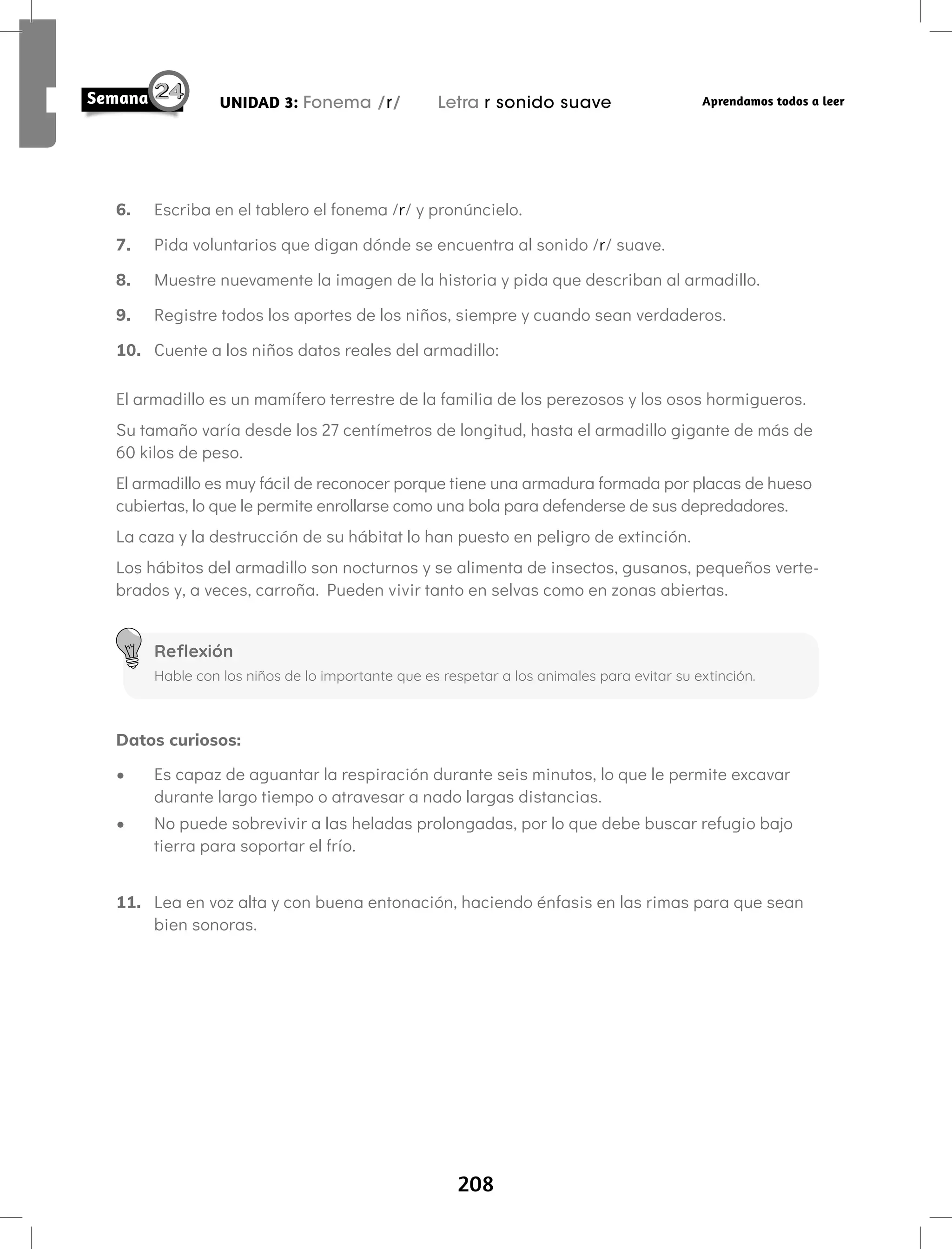 208
UNIDAD 3: Fonema /r/ Letra r sonido suave Aprendamos todos a leer
6. Escriba en el tablero el fonema /r/ y pronúncielo.
7. Pida voluntarios que digan dónde se encuentra al sonido /r/ suave.
8. Muestre nuevamente la imagen de la historia y pida que describan al armadillo.
9. Registre todos los aportes de los niños, siempre y cuando sean verdaderos.
10. Cuente a los niños datos reales del armadillo:
El armadillo es un mamífero terrestre de la familia de los perezosos y los osos hormigueros.
Su tamaño varía desde los 27 centímetros de longitud, hasta el armadillo gigante de más de
60 kilos de peso.
El armadillo es muy fácil de reconocer porque tiene una armadura formada por placas de hueso
cubiertas, lo que le permite enrollarse como una bola para defenderse de sus depredadores.
La caza y la destrucción de su hábitat lo han puesto en peligro de extinción.
Los hábitos del armadillo son nocturnos y se alimenta de insectos, gusanos, pequeños verte-
brados y, a veces, carroña. Pueden vivir tanto en selvas como en zonas abiertas.
Datos curiosos:
• Es capaz de aguantar la respiración durante seis minutos, lo que le permite excavar
durante largo tiempo o atravesar a nado largas distancias.
• No puede sobrevivir a las heladas prolongadas, por lo que debe buscar refugio bajo
tierra para soportar el frío.
11. Lea en voz alta y con buena entonación, haciendo énfasis en las rimas para que sean
bien sonoras.
Reflexión
Hable con los niños de lo importante que es respetar a los animales para evitar su extinción.
 
