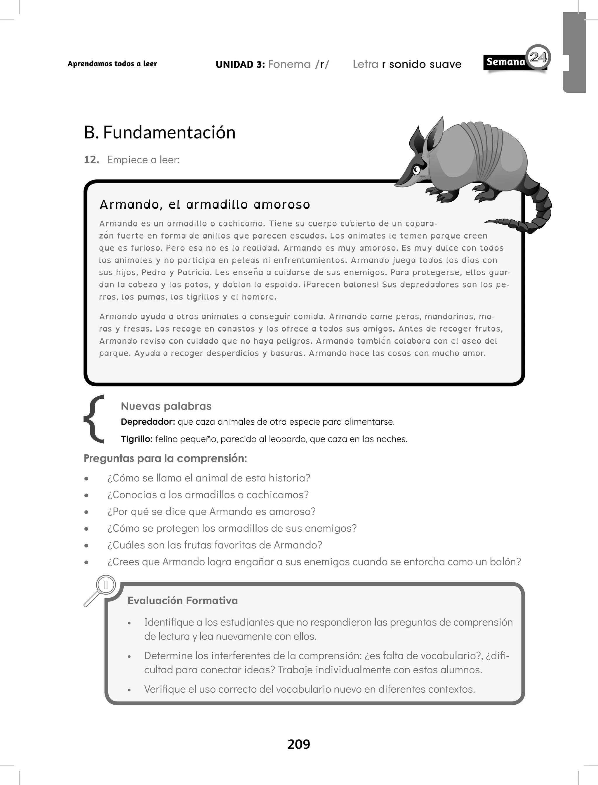 209
UNIDAD 3: Fonema /r/ Letra r sonido suave
Aprendamos todos a leer
B. Fundamentación
12. Empiece a leer:
Armando, el armadillo amoroso
Armando es un armadillo o cachicamo. Tiene su cuerpo cubierto de un capara-
zón fuerte en forma de anillos que parecen escudos. Los animales le temen porque creen
que es furioso. Pero esa no es la realidad. Armando es muy amoroso. Es muy dulce con todos
los animales y no participa en peleas ni enfrentamientos. Armando juega todos los días con
sus hijos, Pedro y Patricia. Les enseña a cuidarse de sus enemigos. Para protegerse, ellos guar-
dan la cabeza y las patas, y doblan la espalda. ¡Parecen balones! Sus depredadores son los pe-
rros, los pumas, los tigrillos y el hombre.
Armando ayuda a otros animales a conseguir comida. Armando come peras, mandarinas, mo-
ras y fresas. Las recoge en canastos y las ofrece a todos sus amigos. Antes de recoger frutas,
Armando revisa con cuidado que no haya peligros. Armando también colabora con el aseo del
parque. Ayuda a recoger desperdicios y basuras. Armando hace las cosas con mucho amor.
Nuevas palabras
Depredador: que caza animales de otra especie para alimentarse.
Tigrillo: felino pequeño, parecido al leopardo, que caza en las noches.
Preguntas para la comprensión:
• ¿Cómo se llama el animal de esta historia?
• ¿Conocías a los armadillos o cachicamos?
• ¿Por qué se dice que Armando es amoroso?
• ¿Cómo se protegen los armadillos de sus enemigos?
• ¿Cuáles son las frutas favoritas de Armando?
• ¿Crees que Armando logra engañar a sus enemigos cuando se entorcha como un balón?
Evaluación Formativa
• Identifique a los estudiantes que no respondieron las preguntas de comprensión
de lectura y lea nuevamente con ellos.
• Determine los interferentes de la comprensión: ¿es falta de vocabulario?, ¿difi-
cultad para conectar ideas? Trabaje individualmente con estos alumnos.
• Verifique el uso correcto del vocabulario nuevo en diferentes contextos.
 