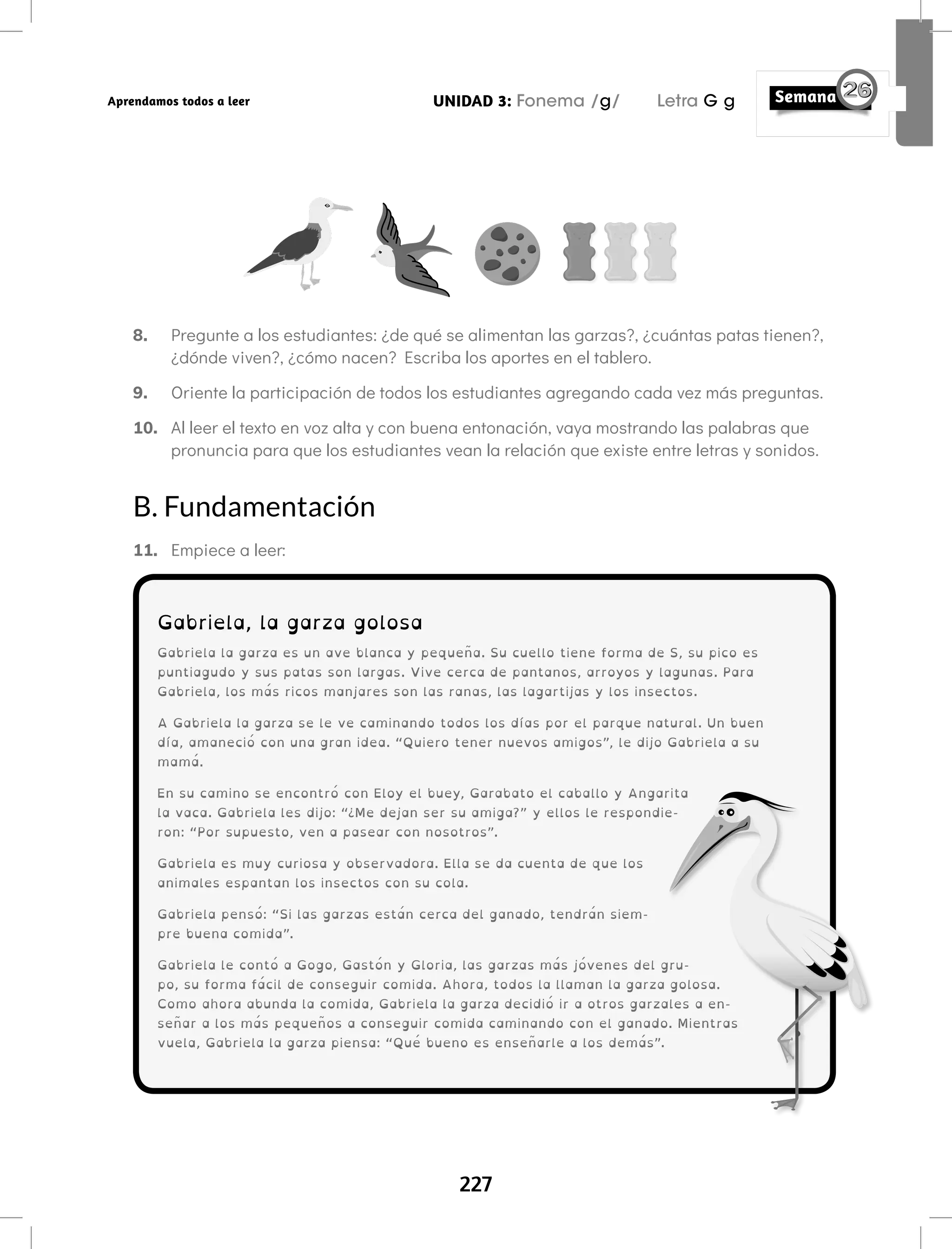 227
UNIDAD 3: Fonema /g/ Letra G g
Aprendamos todos a leer
8. Pregunte a los estudiantes: ¿de qué se alimentan las garzas?, ¿cuántas patas tienen?,
¿dónde viven?, ¿cómo nacen? Escriba los aportes en el tablero.
9. Oriente la participación de todos los estudiantes agregando cada vez más preguntas.
10. Al leer el texto en voz alta y con buena entonación, vaya mostrando las palabras que
pronuncia para que los estudiantes vean la relación que existe entre letras y sonidos.
B. Fundamentación		
11. Empiece a leer:
Gabriela, la garza golosa
Gabriela la garza es un ave blanca y pequeña. Su cuello tiene forma de S, su pico es
puntiagudo y sus patas son largas. Vive cerca de pantanos, arroyos y lagunas. Para
Gabriela, los más ricos manjares son las ranas, las lagartijas y los insectos.
A Gabriela la garza se le ve caminando todos los días por el parque natural. Un buen
día, amaneció con una gran idea. “Quiero tener nuevos amigos”, le dijo Gabriela a su
mamá.
En su camino se encontró con Eloy el buey, Garabato el caballo y Angarita
la vaca. Gabriela les dijo: “¿Me dejan ser su amiga?” y ellos le respondie-
ron: “Por supuesto, ven a pasear con nosotros”.
Gabriela es muy curiosa y observadora. Ella se da cuenta de que los
animales espantan los insectos con su cola.
Gabriela pensó: “Si las garzas están cerca del ganado, tendrán siem-
pre buena comida”.
Gabriela le contó a Gogo, Gastón y Gloria, las garzas más jóvenes del gru-
po, su forma fácil de conseguir comida. Ahora, todos la llaman la garza golosa.
Como ahora abunda la comida, Gabriela la garza decidió ir a otros garzales a en-
señar a los más pequeños a conseguir comida caminando con el ganado. Mientras
vuela, Gabriela la garza piensa: “Qué bueno es enseñarle a los demás”.
 