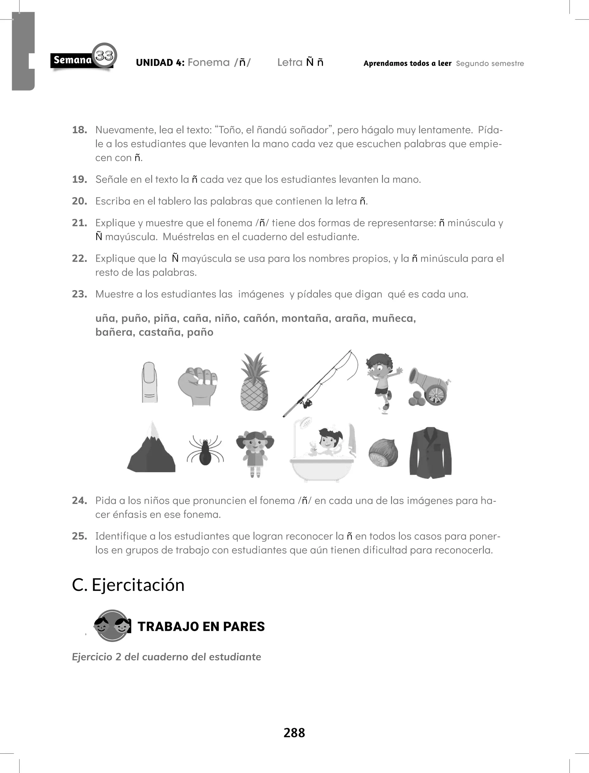 288
UNIDAD 4: Fonema /ñ/ Letra Ñ ñ Aprendamos todos a leer Segundo semestre
18. Nuevamente, lea el texto: “Toño, el ñandú soñador”, pero hágalo muy lentamente. Pída-
le a los estudiantes que levanten la mano cada vez que escuchen palabras que empie-
cen con ñ.
19. Señale en el texto la ñ cada vez que los estudiantes levanten la mano.
20. Escriba en el tablero las palabras que contienen la letra ñ.
21. Explique y muestre que el fonema /ñ/ tiene dos formas de representarse: ñ minúscula y
Ñ mayúscula. Muéstrelas en el cuaderno del estudiante.
22. Explique que la Ñ mayúscula se usa para los nombres propios, y la ñ minúscula para el
resto de las palabras.
23. Muestre a los estudiantes las imágenes y pídales que digan qué es cada una.
uña, puño, piña, caña, niño, cañón, montaña, araña, muñeca,
bañera, castaña, paño
24. Pida a los niños que pronuncien el fonema /ñ/ en cada una de las imágenes para ha-
cer énfasis en ese fonema.
25. Identifique a los estudiantes que logran reconocer la ñ en todos los casos para poner-
los en grupos de trabajo con estudiantes que aún tienen dificultad para reconocerla.
C. Ejercitación
TRABAJO EN PARES
Ejercicio 2 del cuaderno del estudiante
 